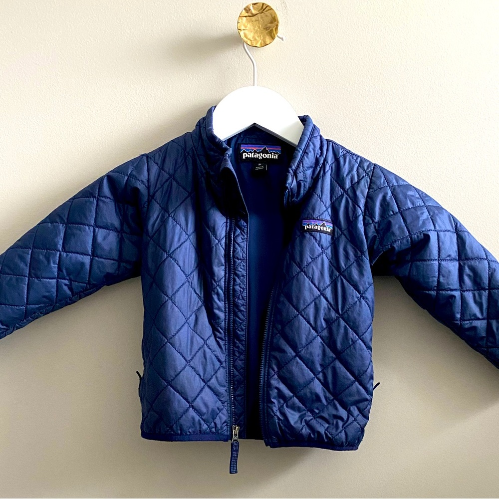Patagonia Kids Blue Puffer Jacket